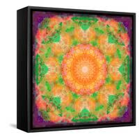 A Many Layered Flower Mandala-Alaya Gadeh-Framed Stretched Canvas