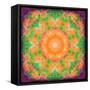 A Many Layered Flower Mandala-Alaya Gadeh-Framed Stretched Canvas
