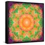 A Many Layered Flower Mandala-Alaya Gadeh-Framed Stretched Canvas