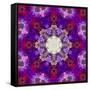 A Many Layered Flower Mandala-Alaya Gadeh-Framed Stretched Canvas