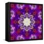 A Many Layered Flower Mandala-Alaya Gadeh-Framed Stretched Canvas