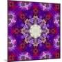 A Many Layered Flower Mandala-Alaya Gadeh-Mounted Photographic Print