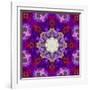 A Many Layered Flower Mandala-Alaya Gadeh-Framed Photographic Print