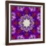 A Many Layered Flower Mandala-Alaya Gadeh-Framed Photographic Print