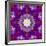 A Many Layered Flower Mandala-Alaya Gadeh-Framed Photographic Print