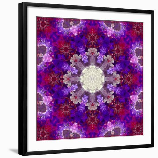 A Many Layered Flower Mandala-Alaya Gadeh-Framed Photographic Print