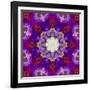 A Many Layered Flower Mandala-Alaya Gadeh-Framed Photographic Print