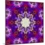 A Many Layered Flower Mandala-Alaya Gadeh-Mounted Photographic Print