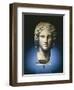 A Marble Head of a Young Man, Possibly Apollo, 2nd Century After 4th Century BC-null-Framed Giclee Print