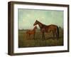A Mare and Foal in a Landscape-Franz Reichmann-Framed Giclee Print