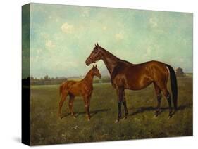 A Mare and Foal in a Landscape-Franz Reichmann-Stretched Canvas