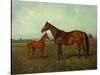 A Mare and Foal in a Landscape-Franz Reichmann-Stretched Canvas