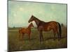 A Mare and Foal in a Landscape-Franz Reichmann-Mounted Giclee Print