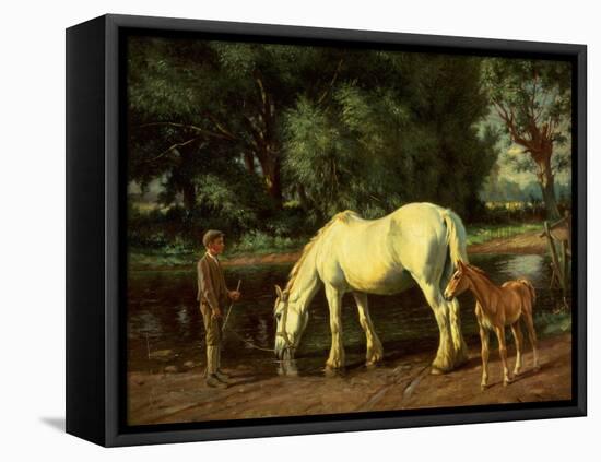 A Mare and her Foal at a Ford-Wright Barker-Framed Stretched Canvas