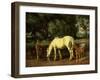 A Mare and her Foal at a Ford-Wright Barker-Framed Giclee Print