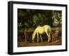 A Mare and her Foal at a Ford-Wright Barker-Framed Giclee Print