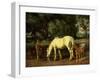 A Mare and her Foal at a Ford-Wright Barker-Framed Giclee Print