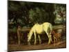 A Mare and her Foal at a Ford-Wright Barker-Mounted Giclee Print