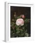 A Maria Larpin Rose-Otto Didrik Ottesen-Framed Giclee Print