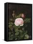 A Maria Larpin Rose-Otto Didrik Ottesen-Framed Stretched Canvas