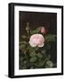 A Maria Larpin Rose-Otto Didrik Ottesen-Framed Giclee Print