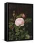 A Maria Larpin Rose-Otto Didrik Ottesen-Framed Stretched Canvas