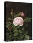 A Maria Larpin Rose-Otto Didrik Ottesen-Stretched Canvas