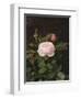 A Maria Larpin Rose-Otto Didrik Ottesen-Framed Giclee Print