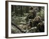 A Marine Sniper Team Wearing Camouflage Ghillie Suits-Stocktrek Images-Framed Photographic Print