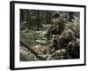 A Marine Sniper Team Wearing Camouflage Ghillie Suits-Stocktrek Images-Framed Photographic Print