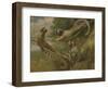 A Marmoset in Three Attitudes, 1793-George Garrard-Framed Giclee Print