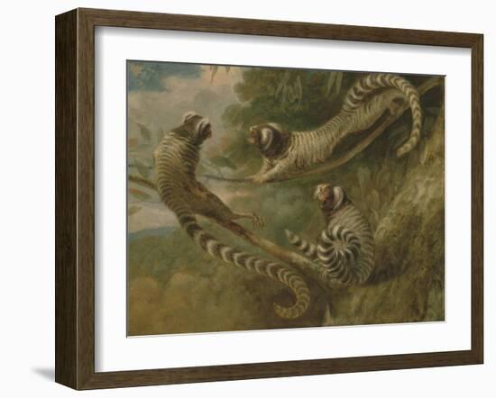 A Marmoset in Three Attitudes, 1793-George Garrard-Framed Giclee Print