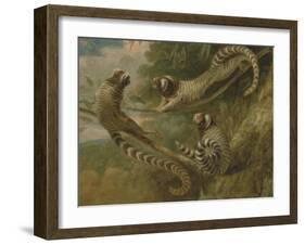 A Marmoset in Three Attitudes, 1793-George Garrard-Framed Giclee Print