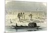 A Massacre of Turtles 1869, Peru-null-Mounted Giclee Print