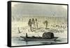A Massacre of Turtles 1869, Peru-null-Framed Stretched Canvas