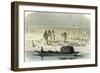 A Massacre of Turtles 1869, Peru-null-Framed Giclee Print