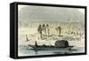 A Massacre of Turtles 1869, Peru-null-Framed Stretched Canvas