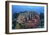 A Massive Barrel Sponge Grows on a Healthy Coral Reef-Stocktrek Images-Framed Photographic Print