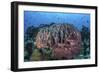 A Massive Barrel Sponge Grows on a Healthy Coral Reef-Stocktrek Images-Framed Photographic Print