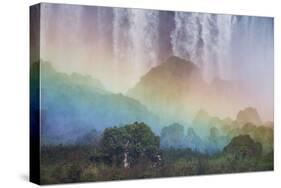 A Massive Rainbow Descends over Iguazu Falls-Alex Saberi-Stretched Canvas