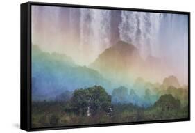 A Massive Rainbow Descends over Iguazu Falls-Alex Saberi-Framed Stretched Canvas