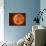A Massive Red Dwarf Consuming Planets Within it's Range-Stocktrek Images-Photographic Print displayed on a wall