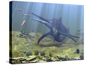 A Massive Shonisaurus Attempts to Make a Meal of a School of Squid-Like Belemnites-Stocktrek Images-Stretched Canvas