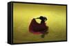 A Matador Warming Up in a Private Arena-null-Framed Stretched Canvas