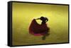 A Matador Warming Up in a Private Arena-null-Framed Stretched Canvas