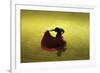 A Matador Warming Up in a Private Arena-null-Framed Photographic Print