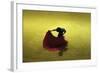 A Matador Warming Up in a Private Arena-null-Framed Photographic Print