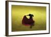 A Matador Warming Up in a Private Arena-null-Framed Photographic Print