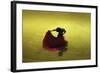 A Matador Warming Up in a Private Arena-null-Framed Photographic Print