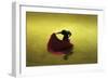 A Matador Warming Up in a Private Arena-null-Framed Photographic Print